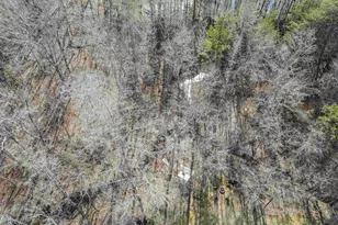 216 Hillcrest Dr, Gaffney, SC 29340 - Photo 39