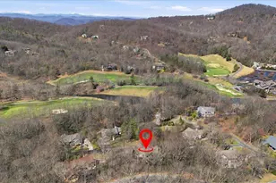 3 Rustic Ct, Landrum, SC 29356 - Photo 49