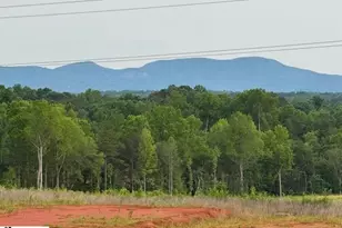 216 Emerald Crk Ave, Greer, SC 29651 - Photo 3