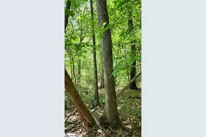 1125 Cambrige Street, Abbeville, SC 29620 - Photo 3