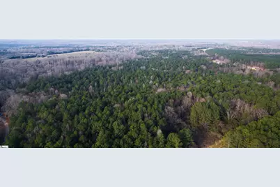 208 Bryson Road, Fountain Inn, SC 29644 - Photo 3