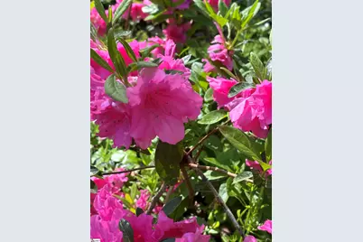 340 Ferndale Drive, Spartanburg, SC 29316 - Photo 41