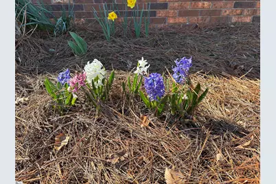 340 Ferndale Drive, Spartanburg, SC 29316 - Photo 37