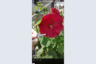 340 Ferndale Drive, Spartanburg, SC 29316 - Photo 45