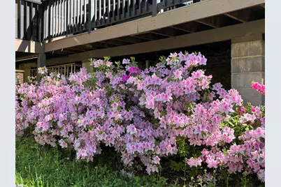 340 Ferndale Drive, Spartanburg, SC 29316 - Photo 43