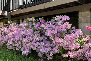 340 Ferndale Dr, Boiling Springs, SC 29316 - Photo 43