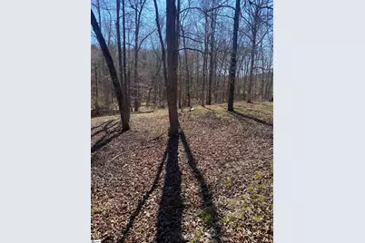 0 Tomachichi Road, Cross Hill, SC 29332 - Photo 7