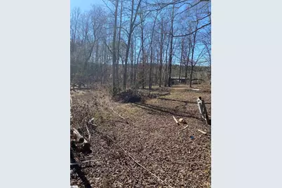 0 Tomachichi Road, Cross Hill, SC 29332 - Photo 3