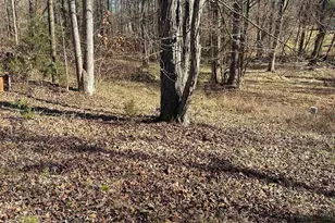 0 Tomachichi Rd, Cross Hill, SC 29332 - Photo 1