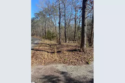 0 Tomachichi Road, Cross Hill, SC 29332 - Photo 9