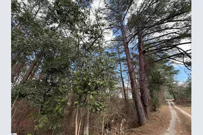 6 Horton Drive, Abbeville, SC 29620 - Photo 3