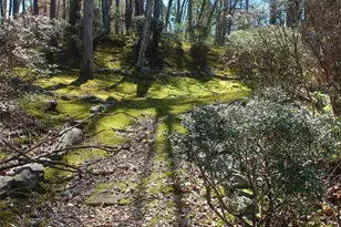 104 Laurel Ln, Seneca, SC 29678 - Photo 19