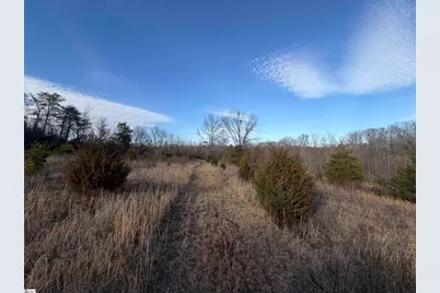 4525 Babb Road, Greer, SC 29651 - Photo 25