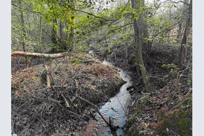 4525 Babb Road, Greer, SC 29651 - Photo 27