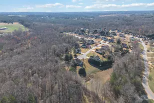 10 Chasie Ln, Greer, SC 29651 - Photo 41