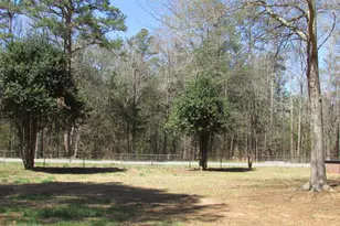 3236 Burnt Mill Creek Rd, Laurens, SC 29360 - Photo 11