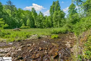 814 Moorefield Memorial Hwy, Sunset, SC 29685 - Photo 33