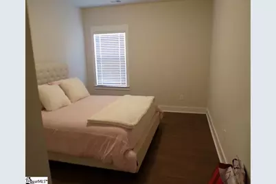 44 Riley Eden Lane, Greer, SC 29650 - Photo 13