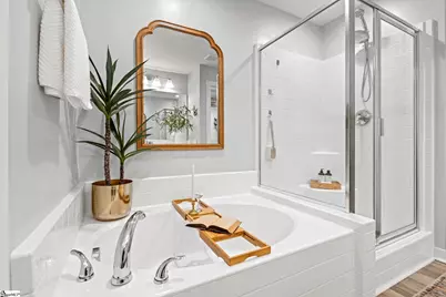 216 Button Willow Street, Taylors, SC 29687 - Photo 19