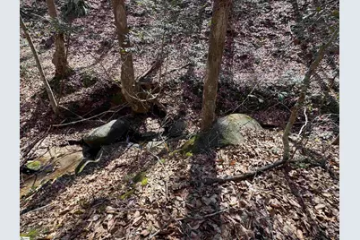 00 Golden Hickory Drive, Anderson, SC 29621 - Photo 9