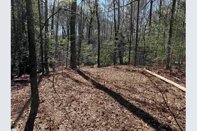 00 Golden Hickory Drive, Anderson, SC 29621 - Photo 7