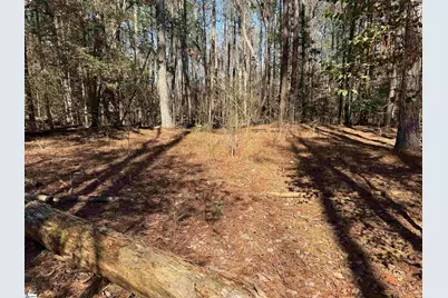 00 Golden Hickory Drive, Anderson, SC 29621 - Photo 5