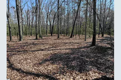 00 Golden Hickory Drive, Anderson, SC 29621 - Photo 17