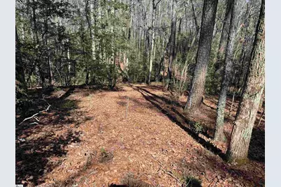 00 Golden Hickory Drive, Anderson, SC 29621 - Photo 3