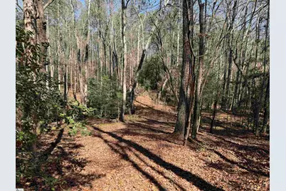 00 Golden Hickory Drive, Anderson, SC 29621 - Photo 3