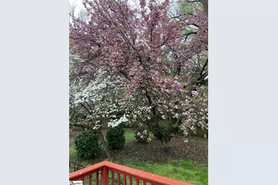 323 Workman Avenue, Woodruff, SC 29388 - Photo 43