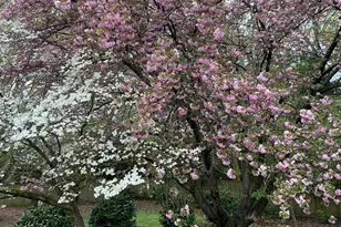 323 Workman Ave, Woodruff, SC 29388 - Photo 43