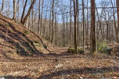00 Panther Park Trail, Travelers Rest, SC 29690 - Photo 23