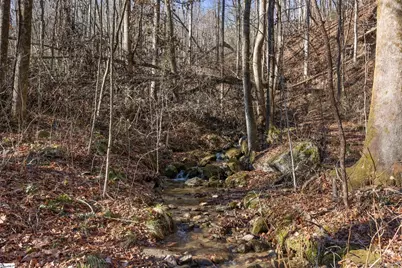 00 Panther Park Trail, Travelers Rest, SC 29690 - Photo 5