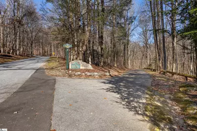 00 Panther Park Trail, Travelers Rest, SC 29690 - Photo 9