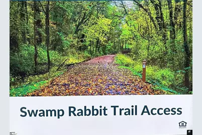 303 Thurgood Drive Extension, Greenville, SC 29607 - Photo 3