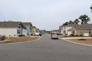 119 Marauder Dr, Longs, SC 29568 - Photo 37