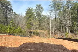 339 E Pyrenees Dr, Wellford, SC 29385 - Photo 21