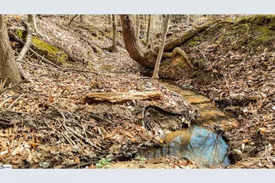 00 Lake Road, Clinton, SC 29325 - Photo 9