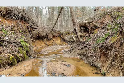00 Lake Road, Clinton, SC 29325 - Photo 7