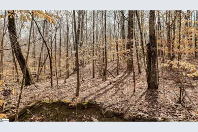 00 Lake Road, Clinton, SC 29325 - Photo 17