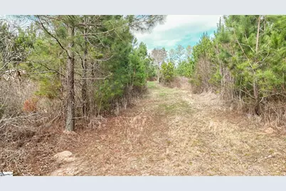 00 Lake Road, Clinton, SC 29325 - Photo 5