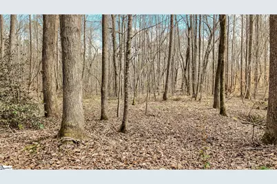 00 Lake Road, Clinton, SC 29325 - Photo 15