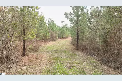 650 Lake Road, Clinton, SC 29325 - Photo 5