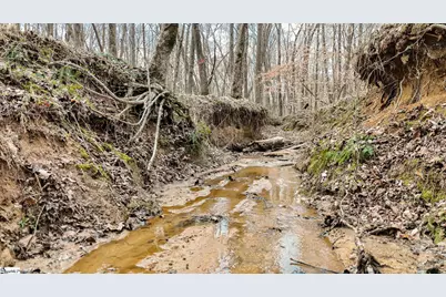 650 Lake Road, Clinton, SC 29325 - Photo 13