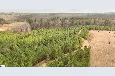 650 Lake Road, Clinton, SC 29325 - Photo 7