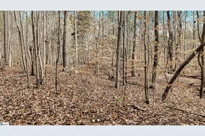 650 Lake Road, Clinton, SC 29325 - Photo 11