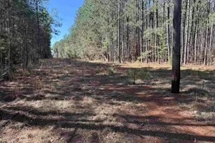 6011 Hwy 29 N, Williamston, SC 29697 - Photo 1