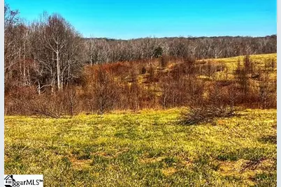 00 Cockrell Road, Greer, SC 29651 - Photo 27