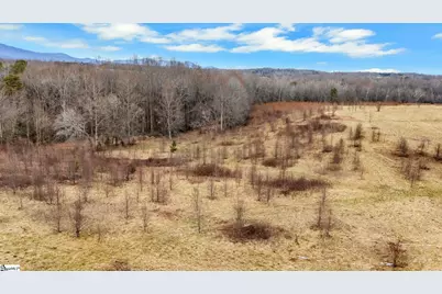 00 Cockrell Road, Greer, SC 29651 - Photo 25