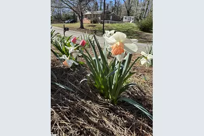 111 Cox Street, Travelers Rest, SC 29690 - Photo 23